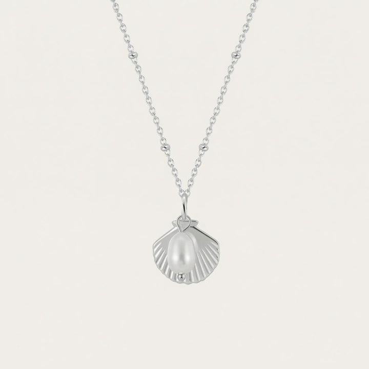 Elyndra | Shell Pearl